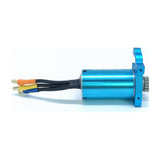 Brushless Motor